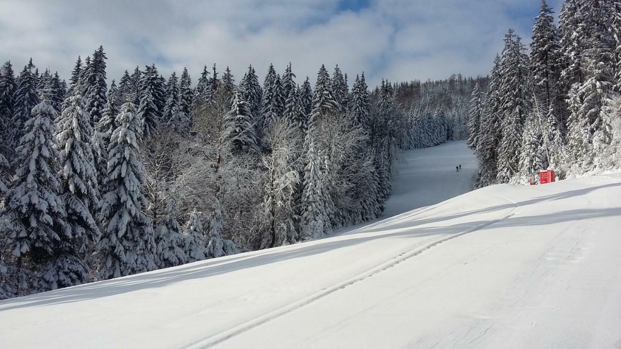 Apartman Medvedin 109 Spindleruv Mlyn Bagian luar foto